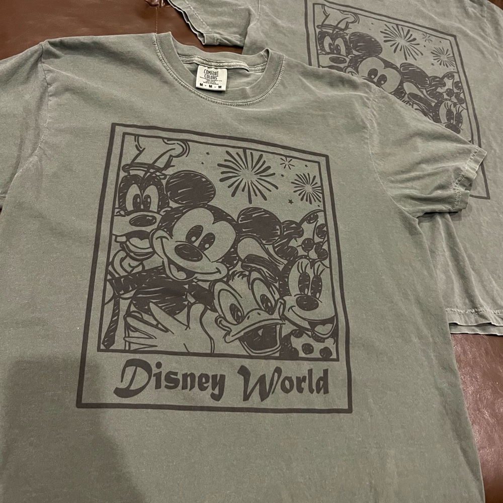 Disney World Comfort Colors T-shirt bundle